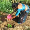 Tree planting program - 2020 (Ruk Ropana)